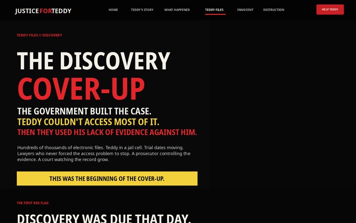 THE DISCOVERY COVER-UP Teddy Files design preview
