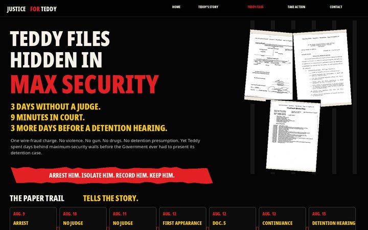 HIDDEN IN MAX SECURITY Teddy Files design preview